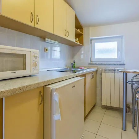 Bozidar Apartmán *