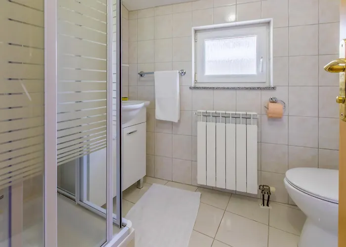 Bozidar Apartment Selce